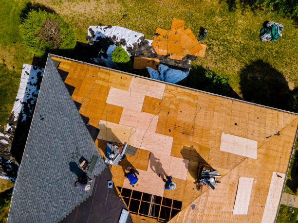 Best Roofing Contractor Near Me  in Peabody, KS